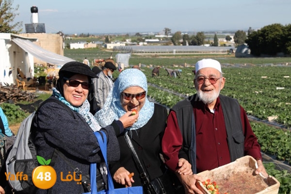 re7la tolkarem (72).JPG